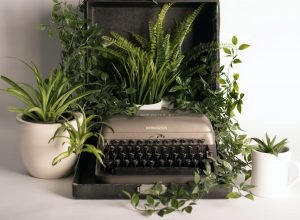air-purifying plants with a typewriter
