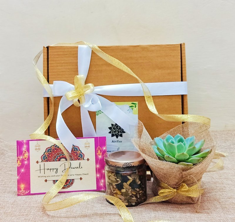 Ample Diwali Succulent Gift Pack Airifier