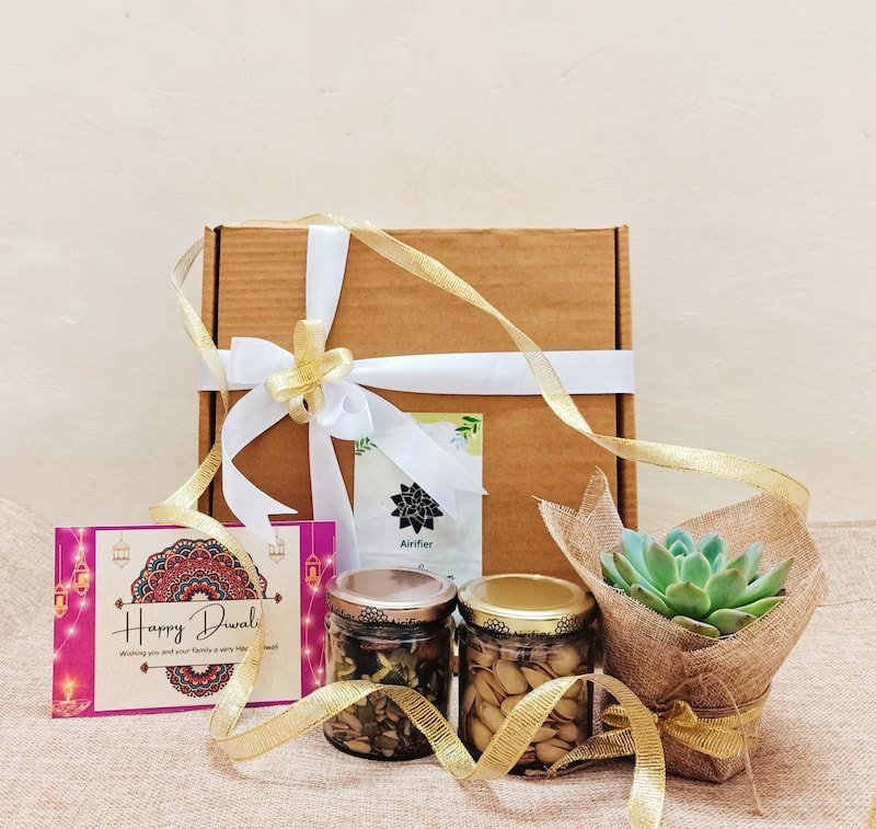 Big Diwali Succulent Plant Gift Pack Airifier
