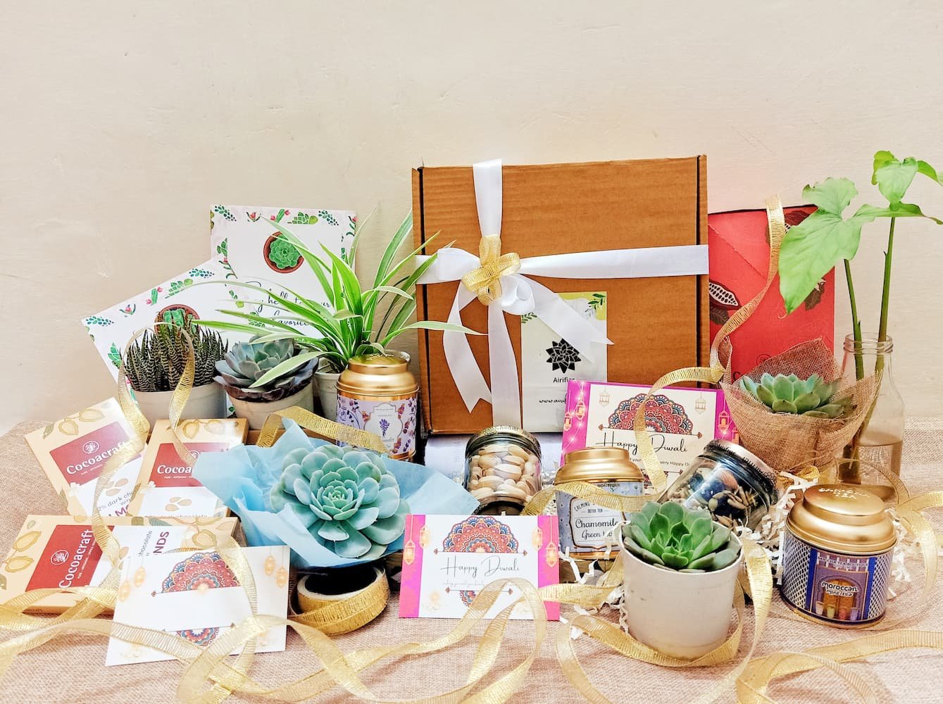 Diwali Succulent Plant Gift Packs Airifier