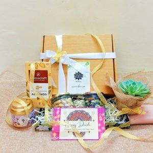 Succulent Plant Gift