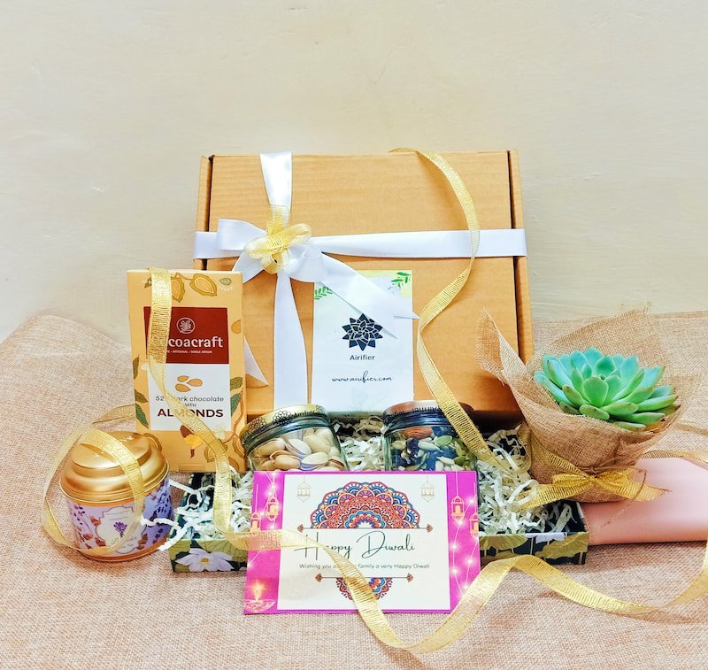 Grand Diwali Succulent Gift Pack Airifier